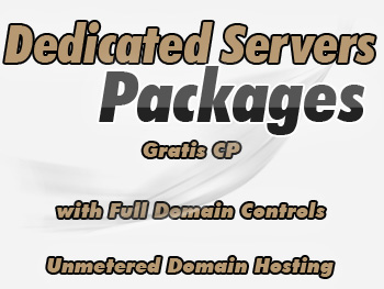 Discounted dedicated servers provider